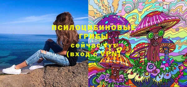 дурь Вязьма