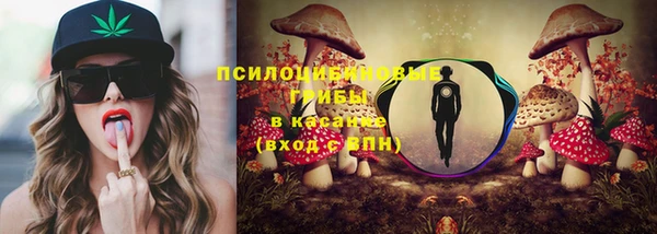 бутират Вяземский